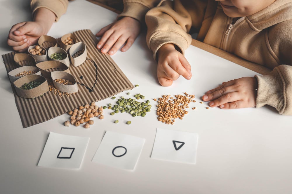 Exploring Shapes and Seeds