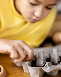 The Absorbent Mind in Montessori Education